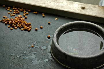 dog's breakfast