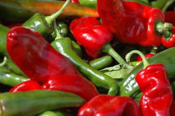 piments et poivrons