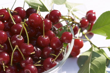 cherry