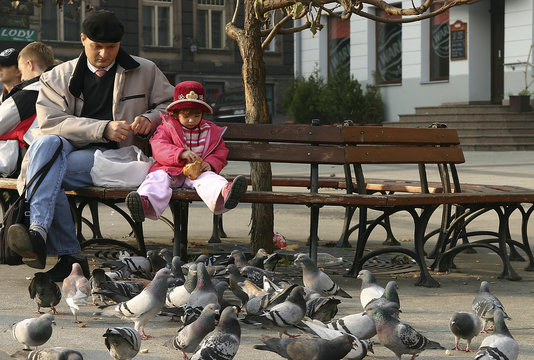 Feeding Pigeons