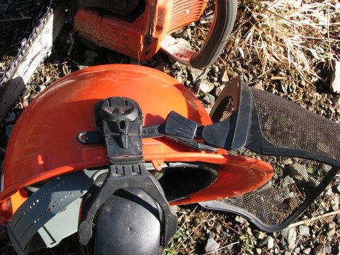 forestry gear