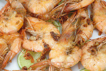shrimps
