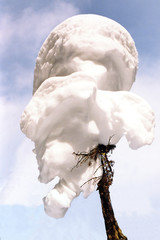winter ice cream on a stick