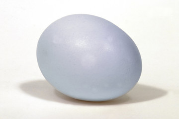easter egg (blue)