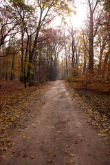 autumn park way