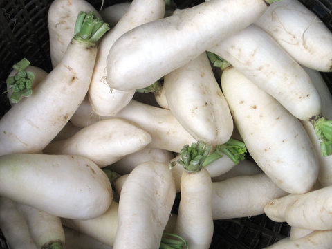 daikon radishes