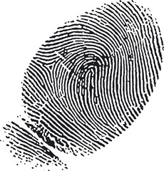 fingerprint7