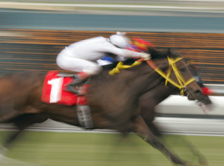 neck and neck horse race -- motion blur