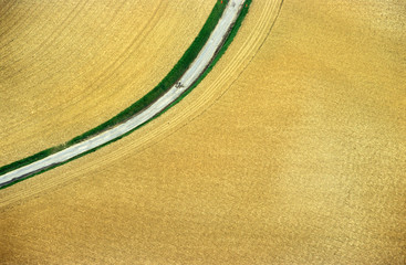 aerial wheat field
