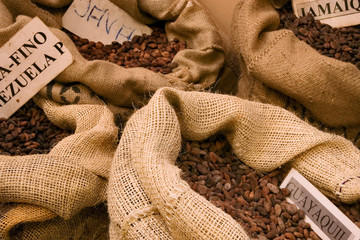 cacao fêves