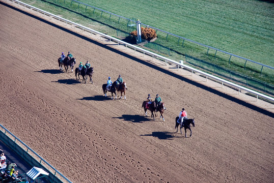 horse racing