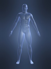 schematische menschliche darstellung