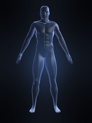 schematische menschlich darstellung