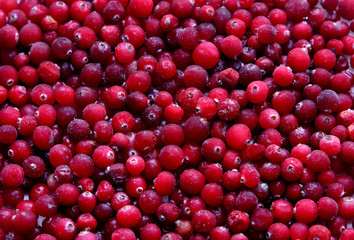cranberry