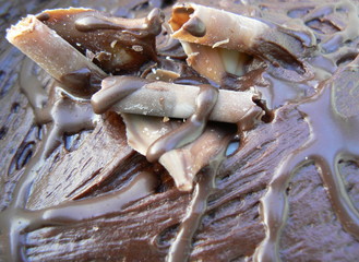 chocolate
