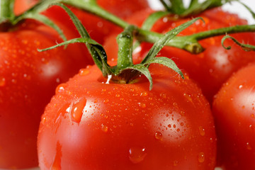 frische tomaten