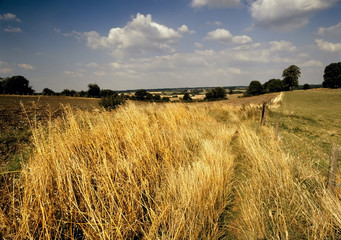 footpath through farmland and open countryside