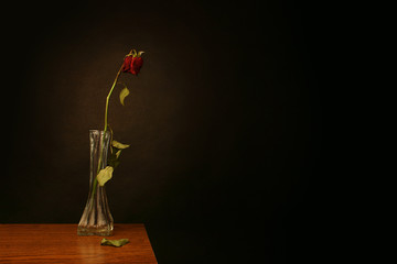 love lost