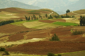 spring field