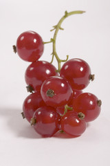 currant