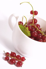 cup of currants