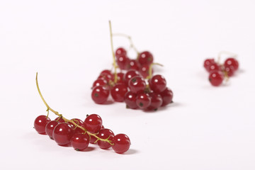 red currant
