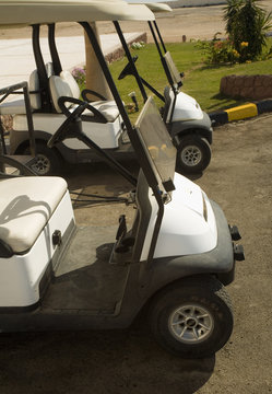 electrocars for movement on fields for a golf