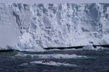 iceberg and penguins