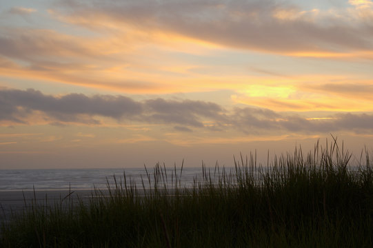 seascape 1 - Powered by Adobe