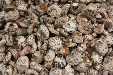 dried mushroom background