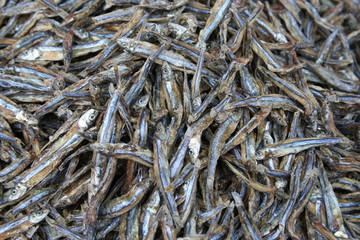 dried fish background