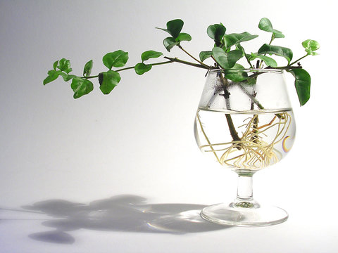 verre