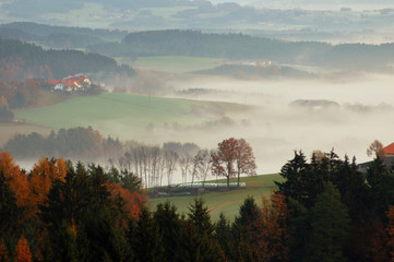 landschaft im nebel © Dieter Hawlan