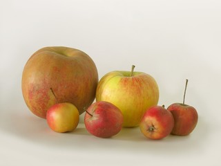 sizes of apples