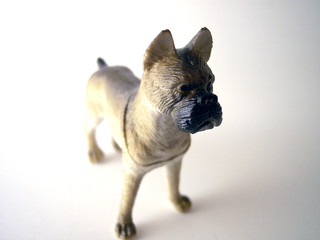 toy bulldog