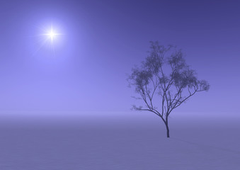 Fototapeta na wymiar tree in misty haze