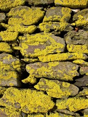 yellow stone