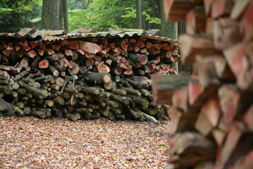holzstapel