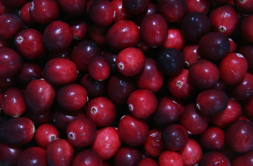 cranberries