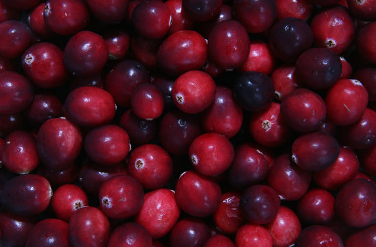 Cranberries