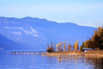 lac
