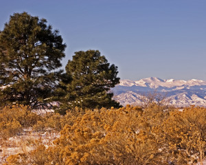 Fototapeta premium mt. evans in winter