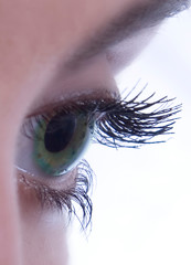 auge