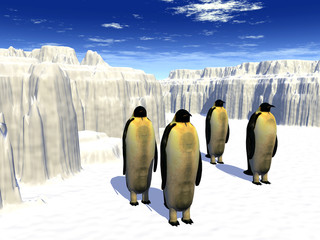 penguins 21