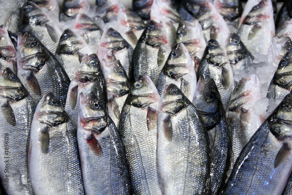 Wall mural fresh fish at the market