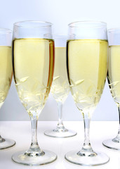 champagne on a white background