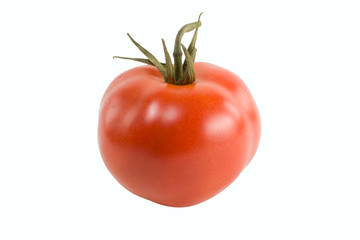 tomato isolation