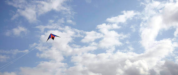 kite in the sky