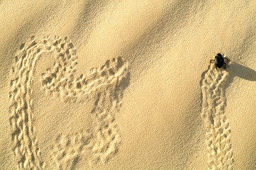 symbols on sand.