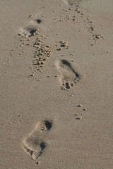 Fototapeta na wymiar footprints